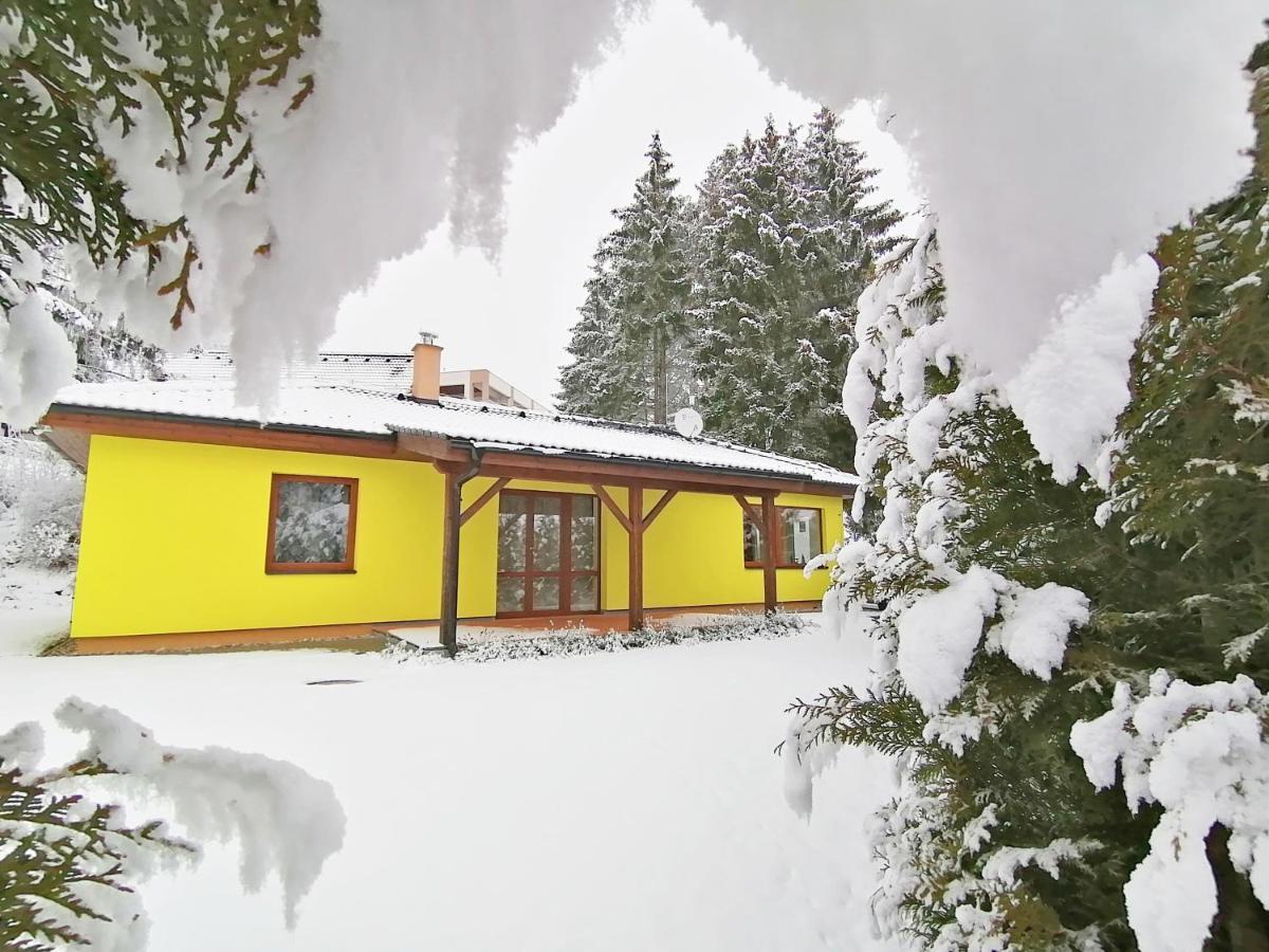 Sunny House Βίλα Lipno nad Vltavou Εξωτερικό φωτογραφία
