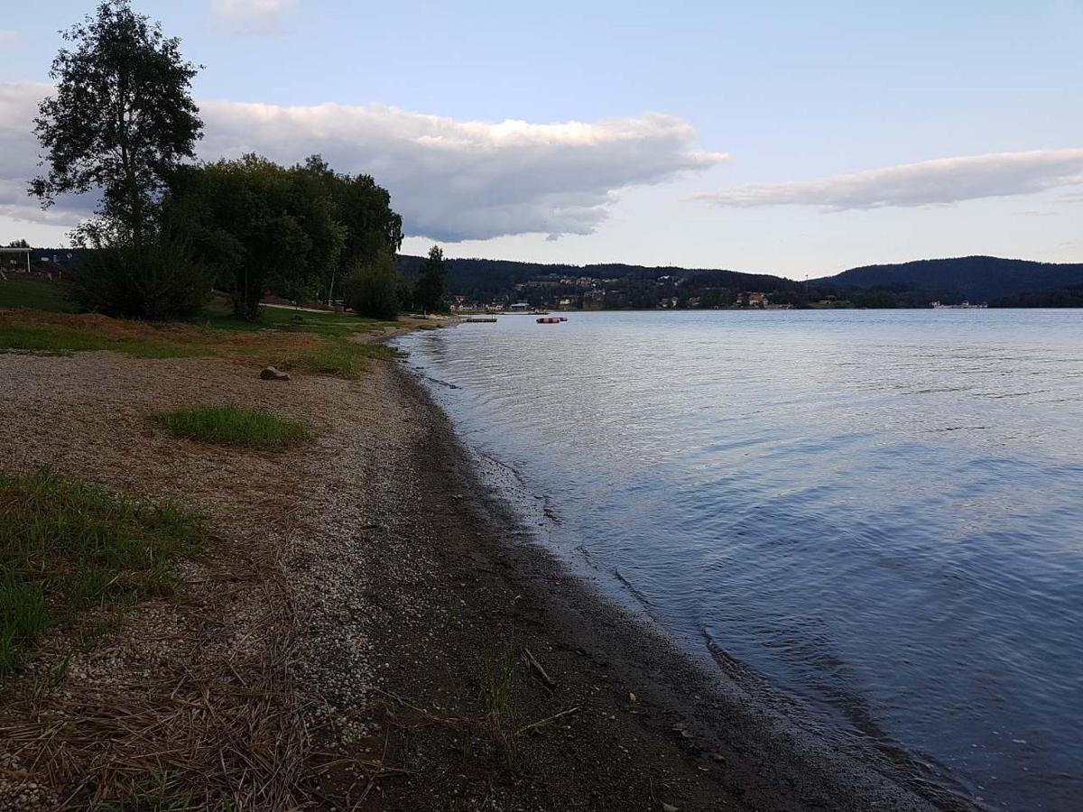 Sunny House Βίλα Lipno nad Vltavou Εξωτερικό φωτογραφία