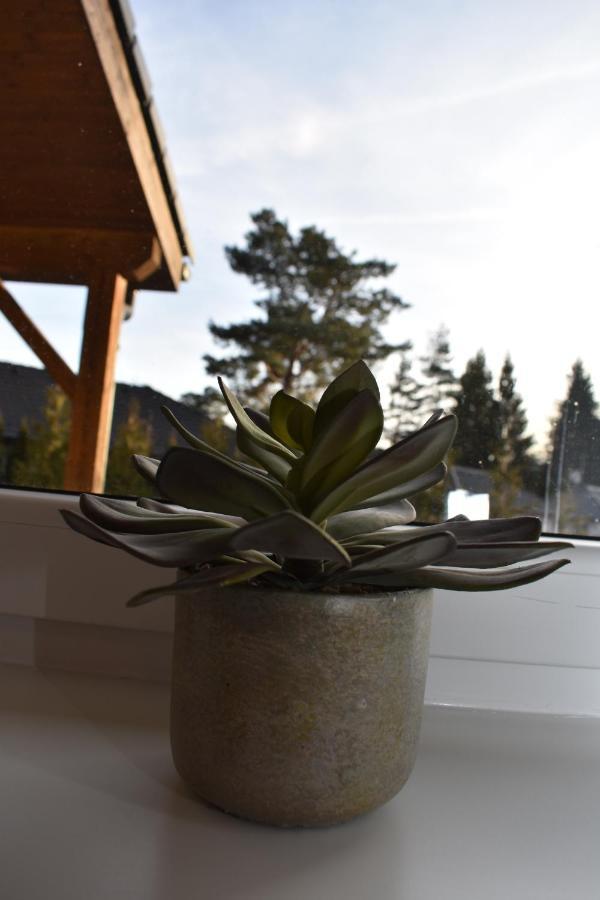 Sunny House Βίλα Lipno nad Vltavou Εξωτερικό φωτογραφία
